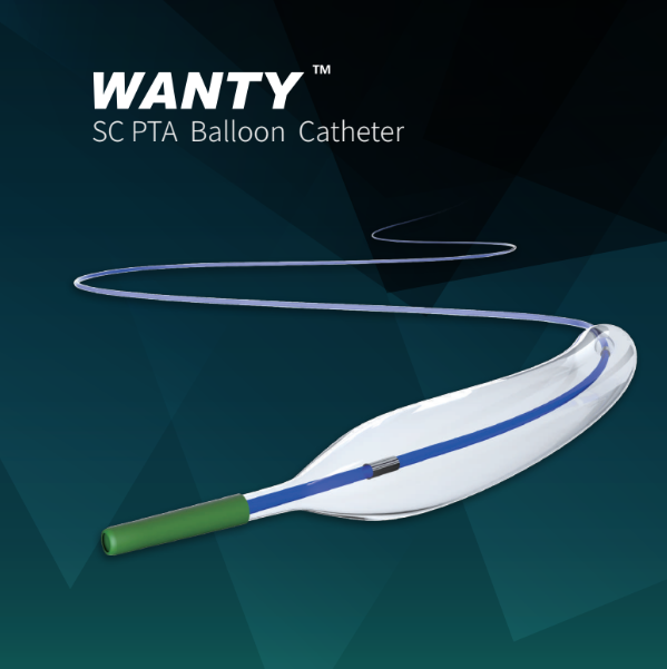<p><span style="font-weight: bold;">WANTY SC PTCA Balloon Catheter</span></p>