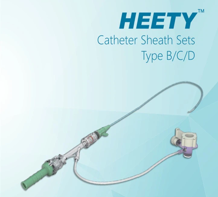 <p><span style="font-weight: bold;">Heety Catheter Sheath Sets Type B/C/D</span><span style="font-weight: bold; color: inherit;">&nbsp;&nbsp;</span></p>