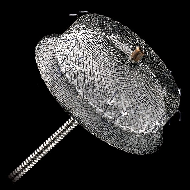AMPLATZER Cardiac Plug