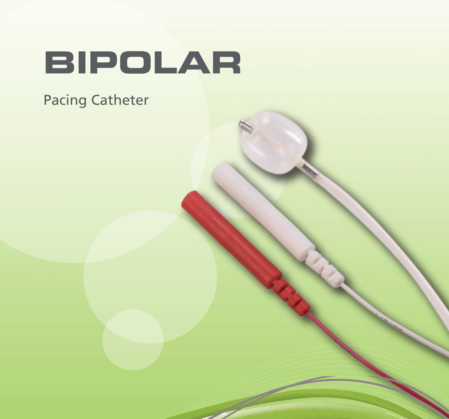 <p><span style="font-weight: bold;">BIPOLAR Pacing Catheter</span><br></p>
